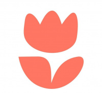 Flowwow logo