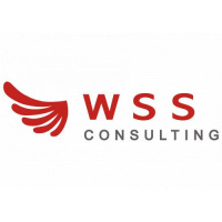 WSS-Consulting logo